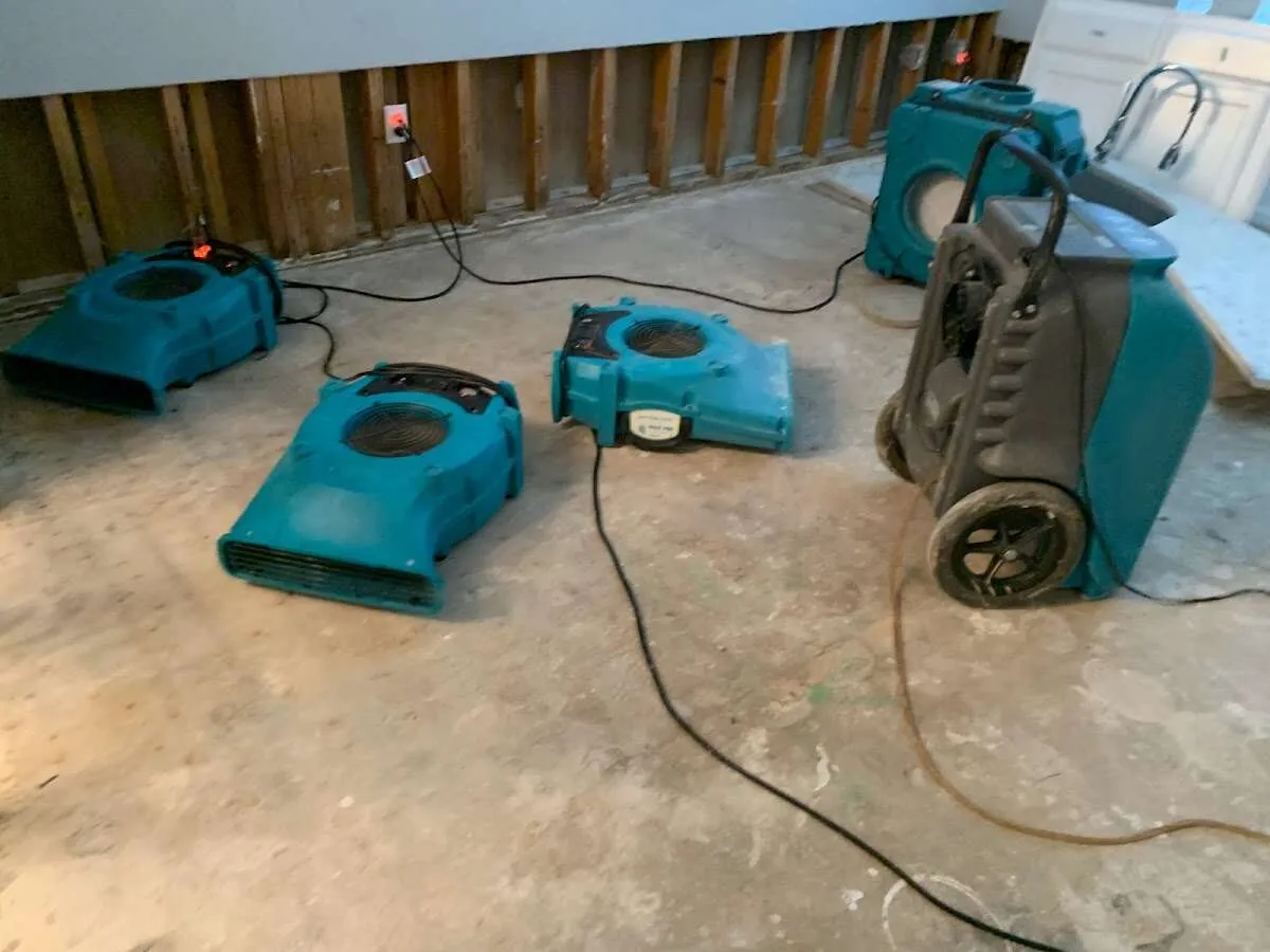 Odor Removal & Deodorization in Grants, NM